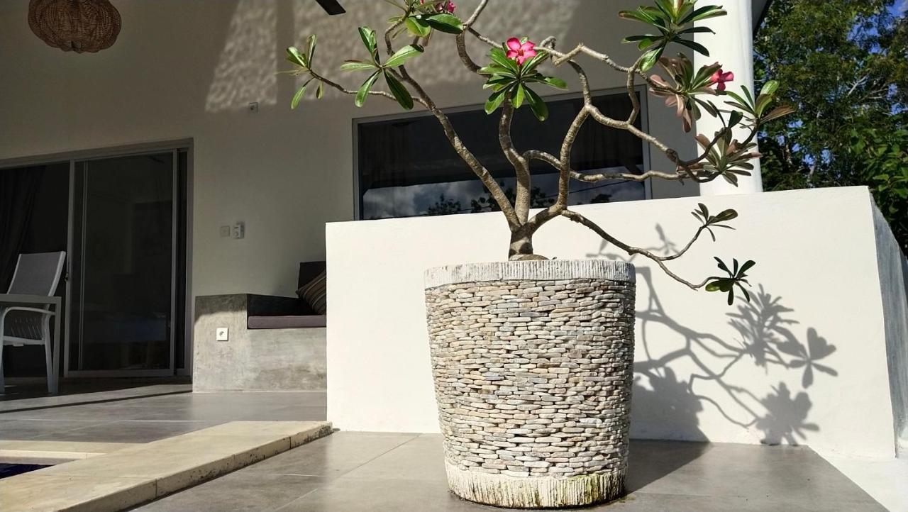 Villa Panoramic Toyapakeh Ngoại thất bức ảnh
